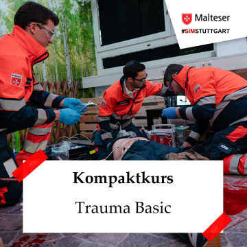 Trauma Basic Icon