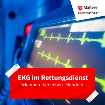 EKG Kurs Logo 2027